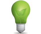 Eco Light Bulb