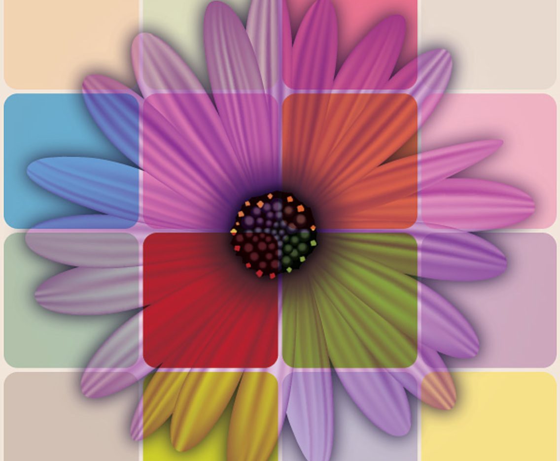 Colorful Daisy Flower
