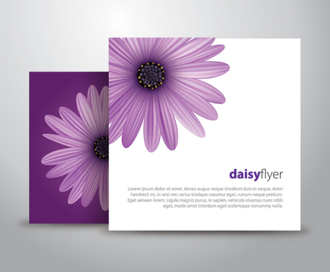 Daisy Flyer