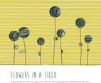 Flowers In A Field