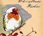 Christmas Robin Card