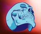 Skull Graphics