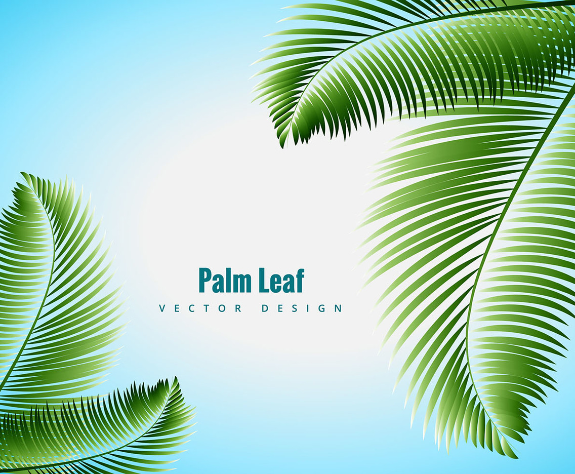 Palm Leaf Vector Vector Art & Graphics | freevector.com