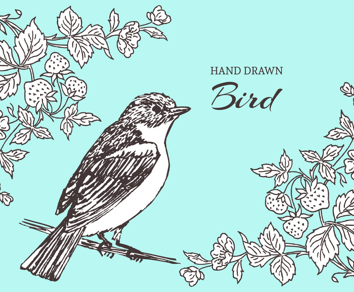 Hand Drawn Bird