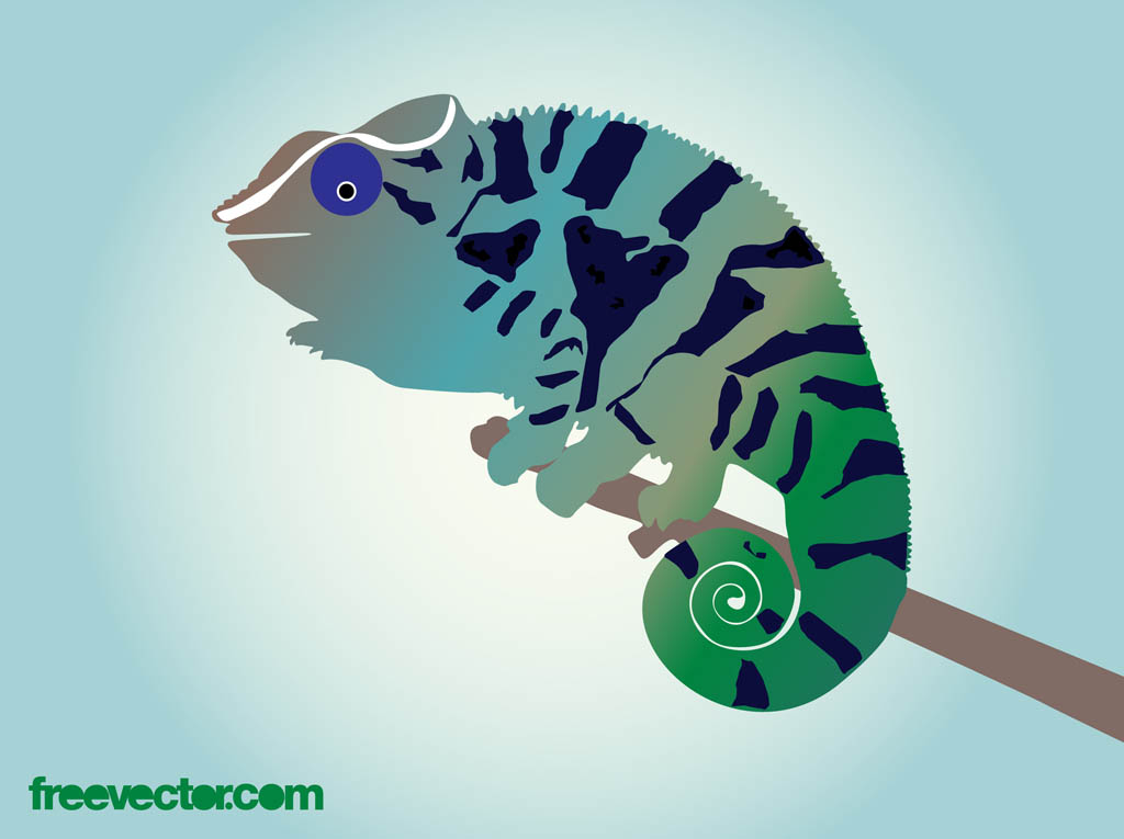 Chameleon Vector