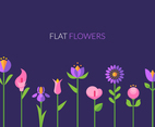 Flat Flowers Greeting Card
