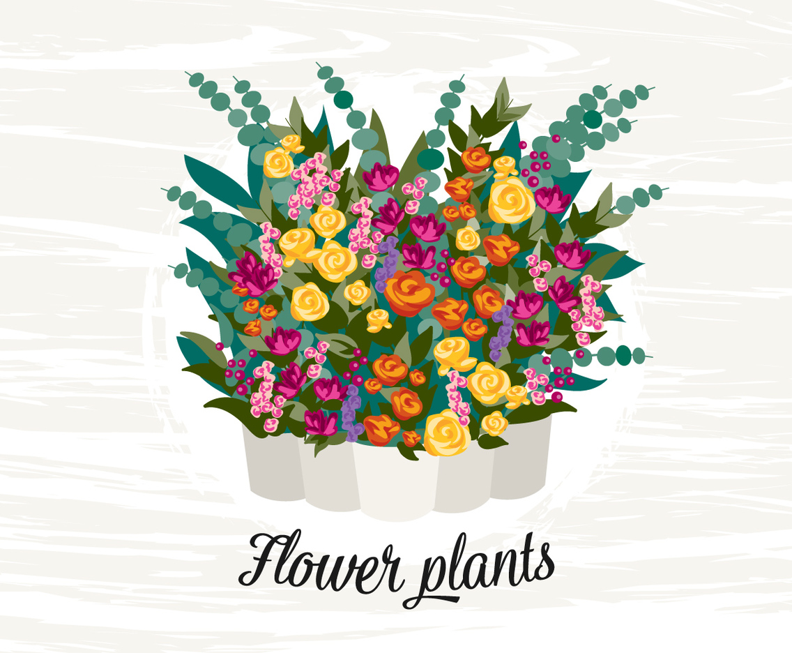 Flower Plants Illustration