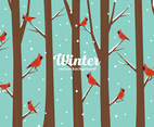 Winter Birds Background