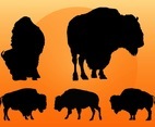 Buffalo Silhouettes