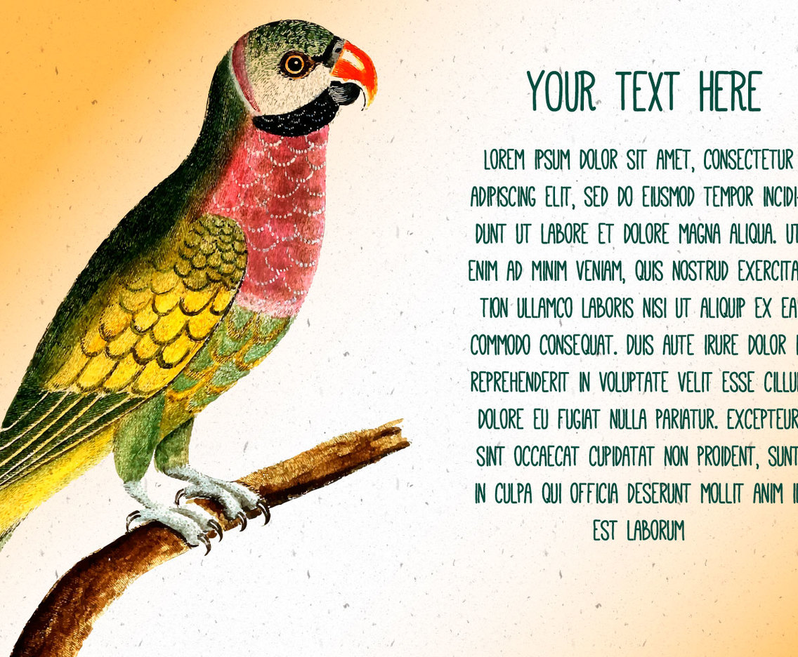 Vintage Bird Text Template