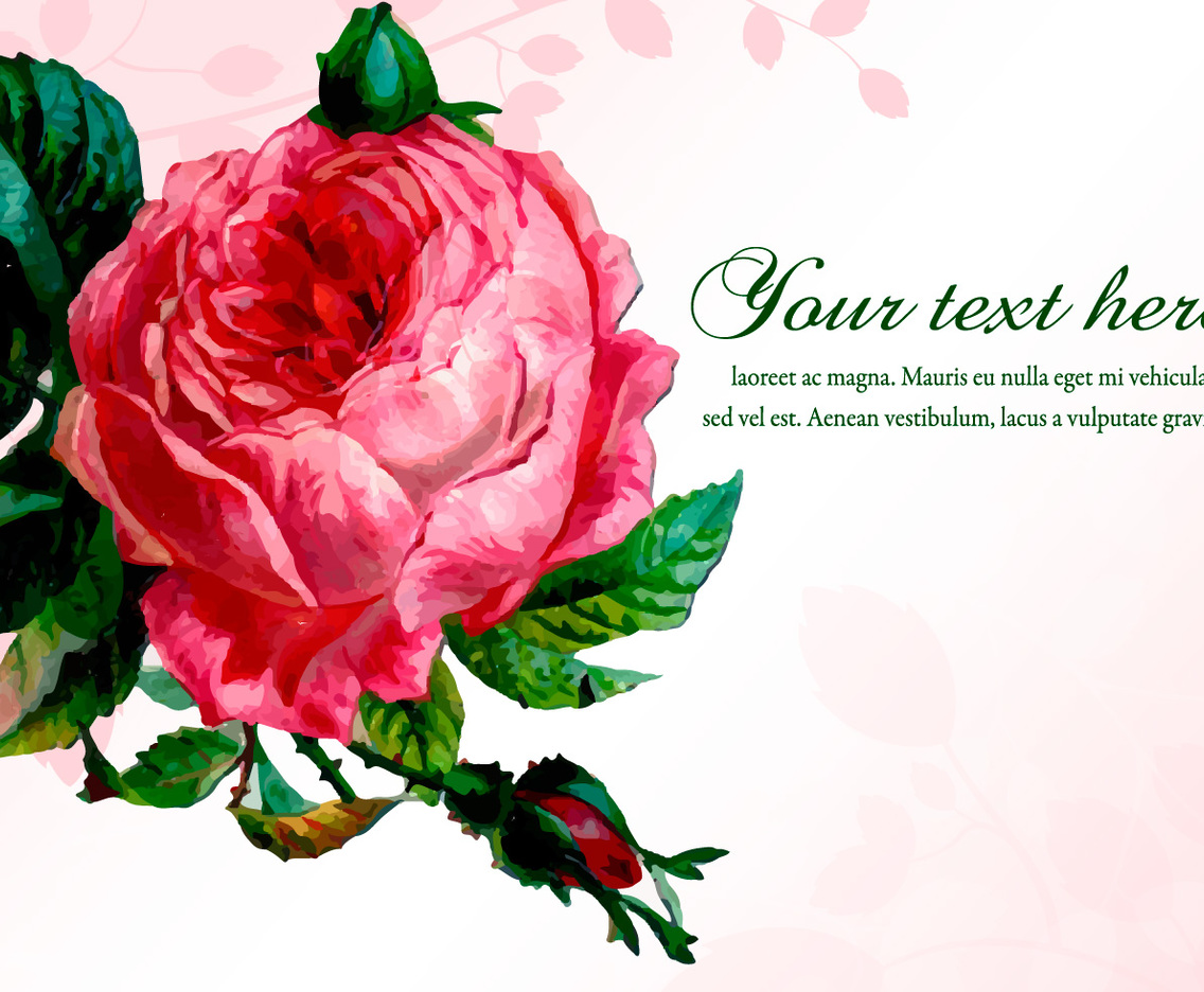 Beautiful Floral Rose Illustration