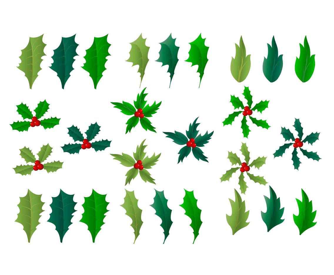 Holly Leaf Element Vectors