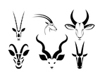 Oryx Head Icon Set