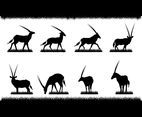 Oryx and Grass Silhouette Vectors