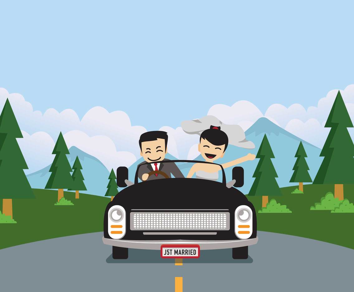 Free Bride And Groom Just Married Illustration