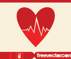 Heart Cardiology Icon