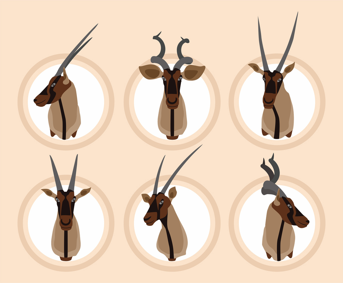 Oryx Vector Set