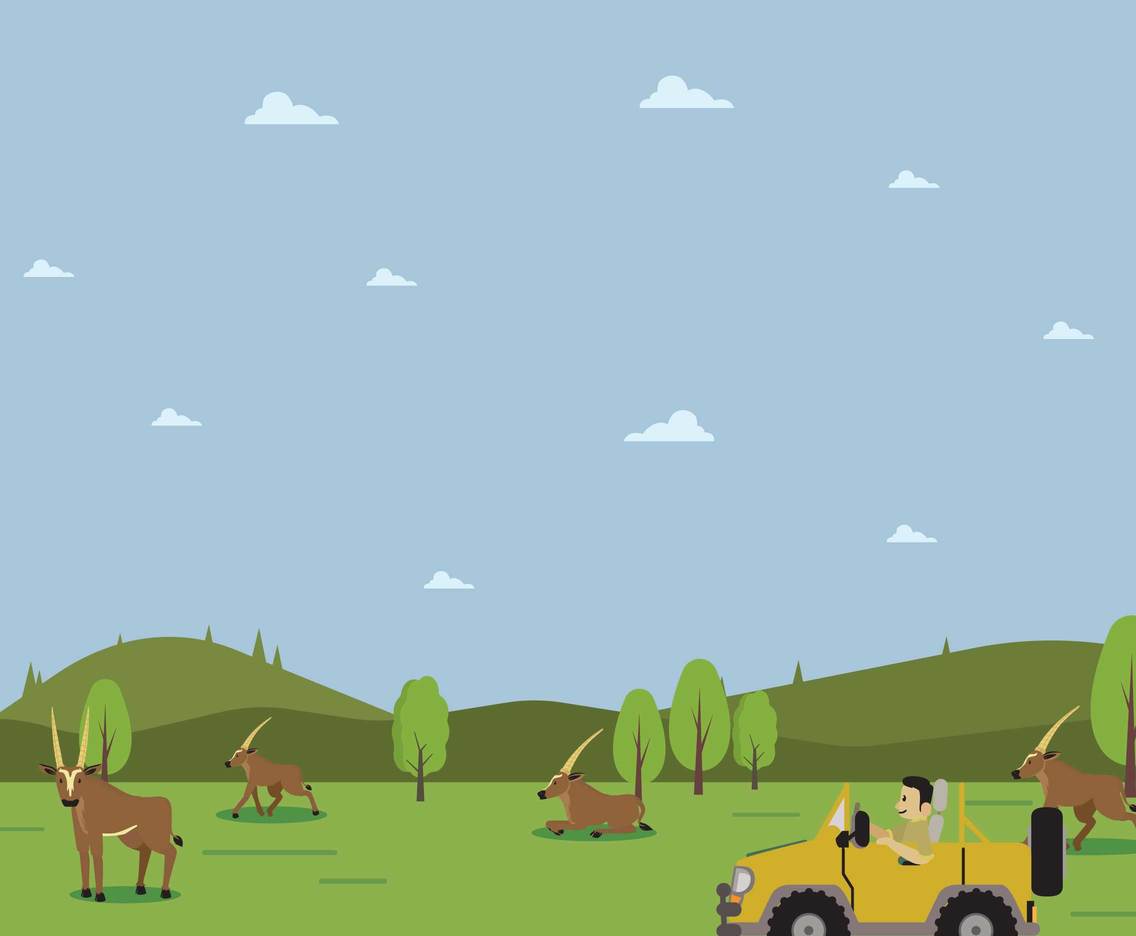 Tourist Viewing Oryx From Car Illustration