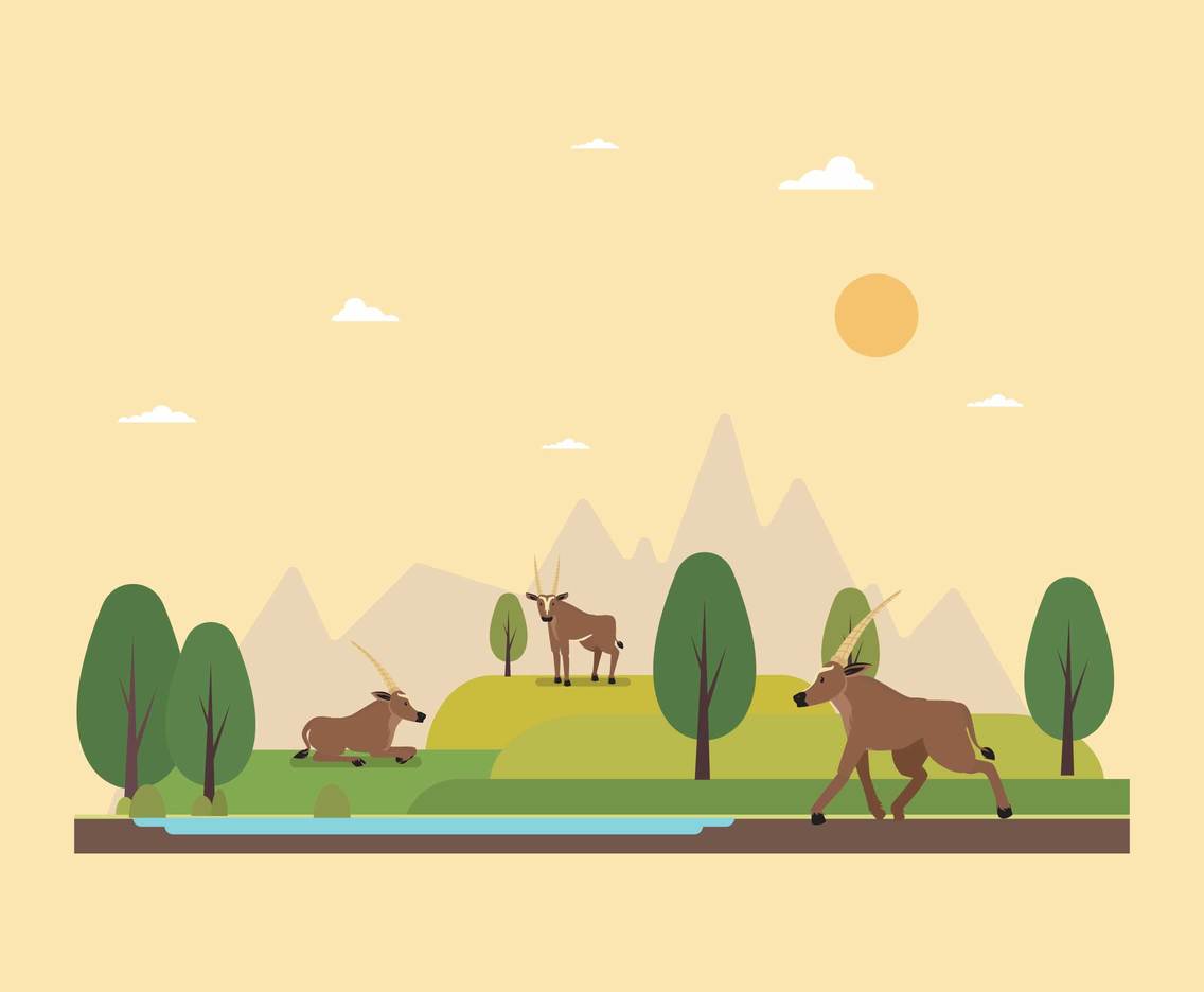 Free Oryx In Wild Life Illustration