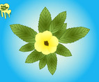 Flower And Leaves Graphics