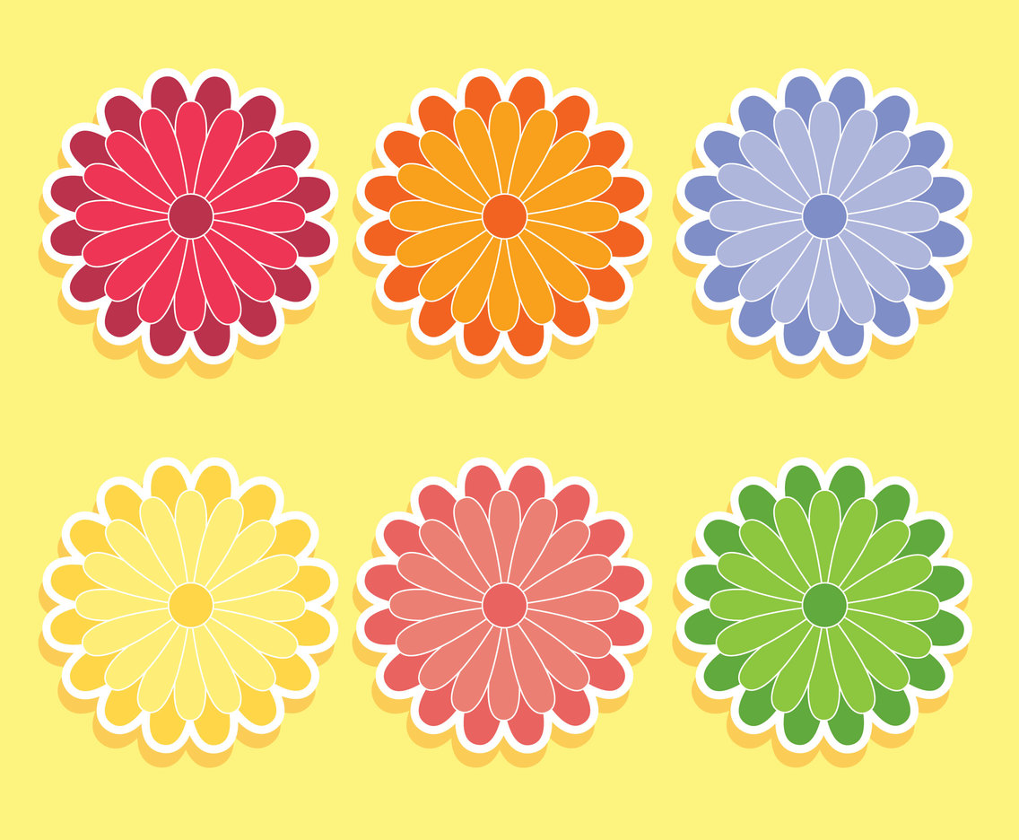 Coloreful Chrysanthemum Flowers Vector