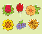 Beautiful Flowers Collection Vector