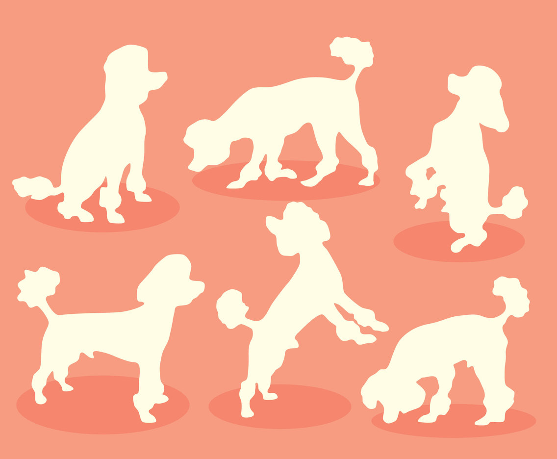 White Silhouette Poodle Vector