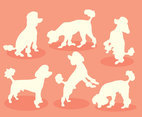 White Silhouette Poodle Vector