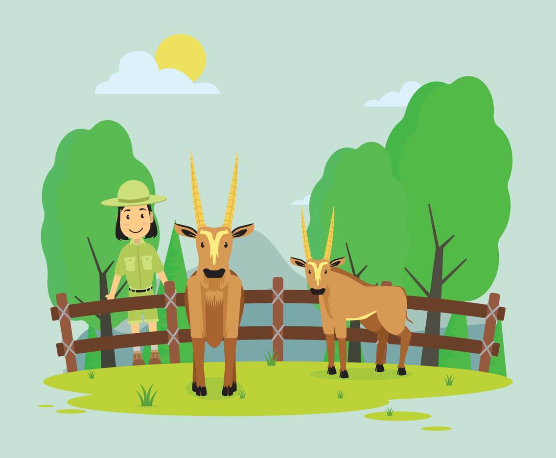 Oryx in Zoo Illustration