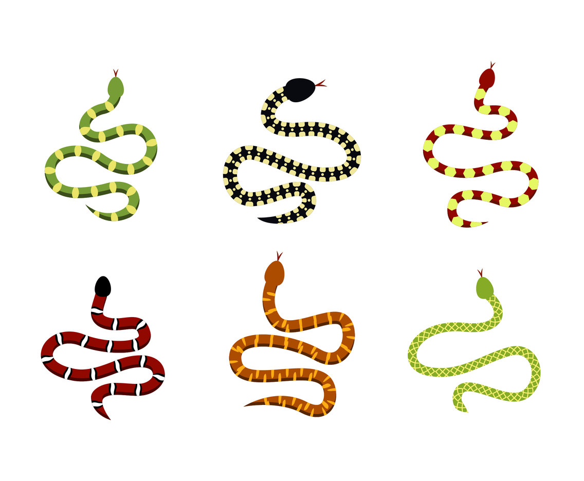 Exotic Serpent Vector