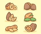 Hand Drawn Nuts Collection Vector
