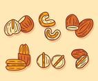 Nuts Collection Vector
