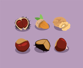 Chestnut Vector Art & Graphics | freevector.com