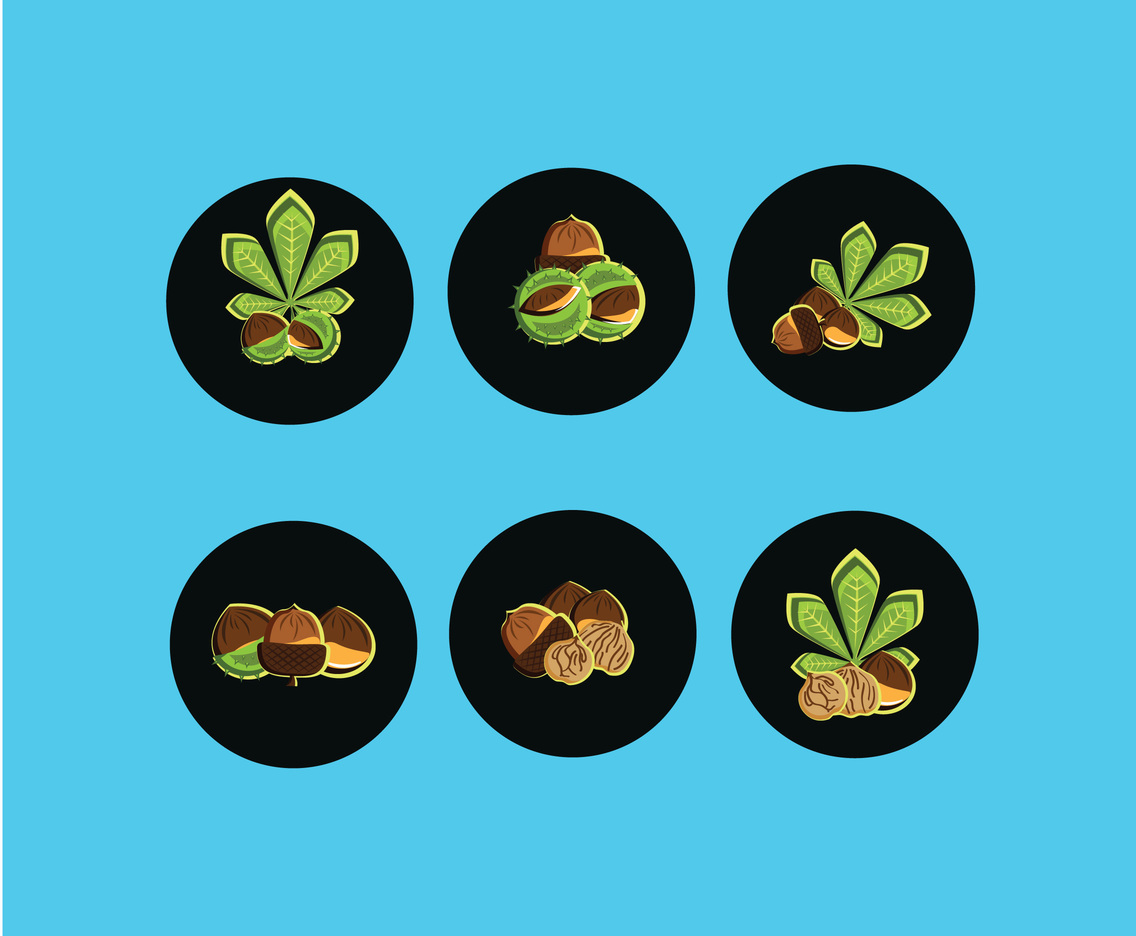 Various Chestnut Vector