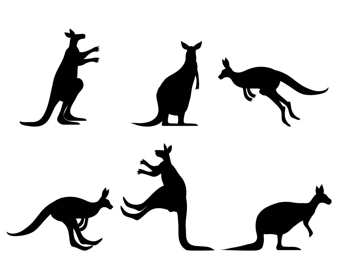 Kangaroo vector set 