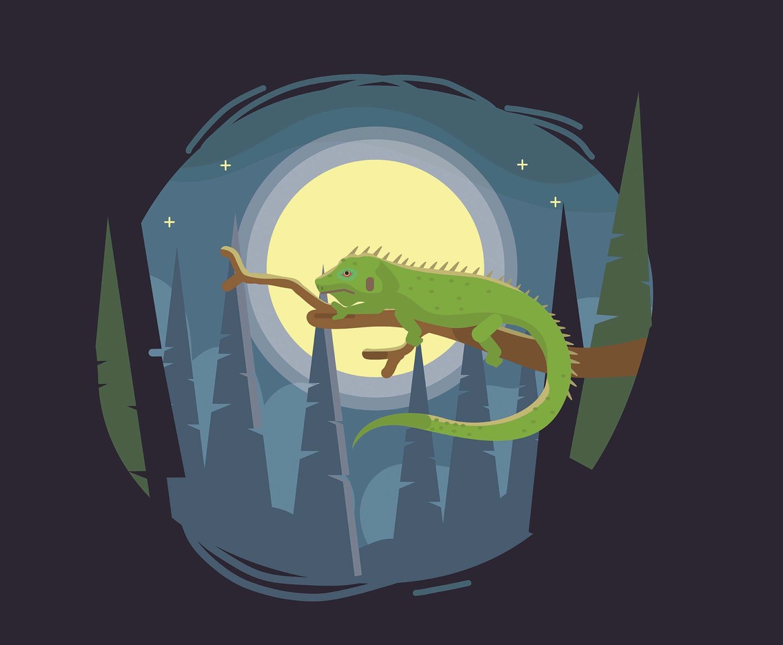 Green Iguana Vector