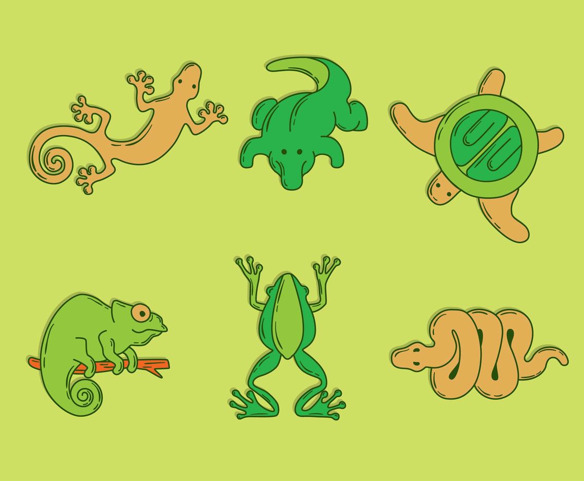 Hand Drawn Reptile Collection Vector
