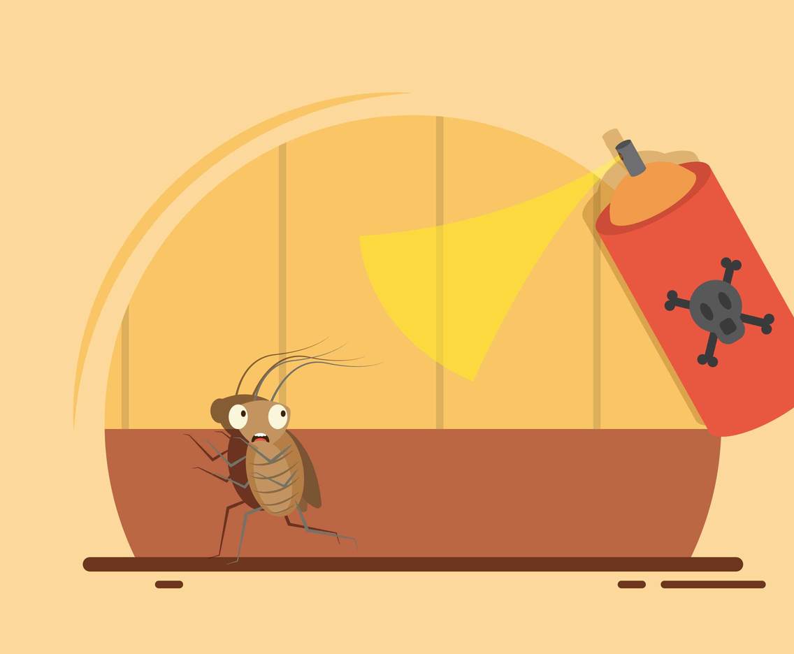 Free Cockroach Illustration