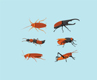 Realistic Insects Illustration Vector