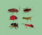 Various Insects Vector