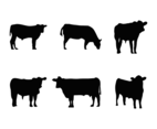 Cattle Silhouette Vector