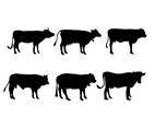 Cattle vector set