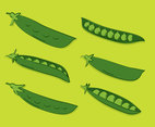 Green Peas Vector