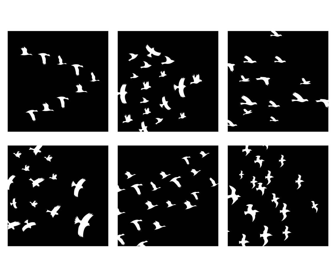 Flock of Birds Vector Set