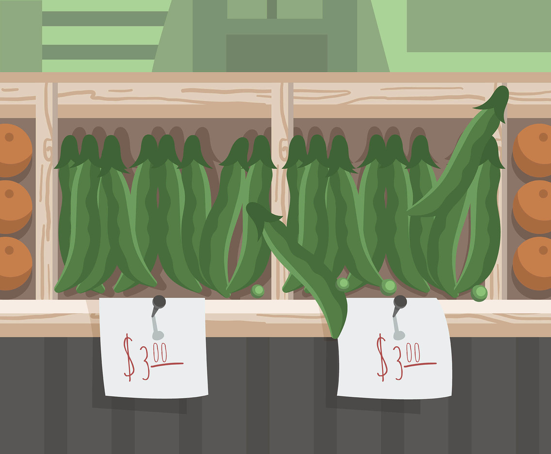 English Peas Vector