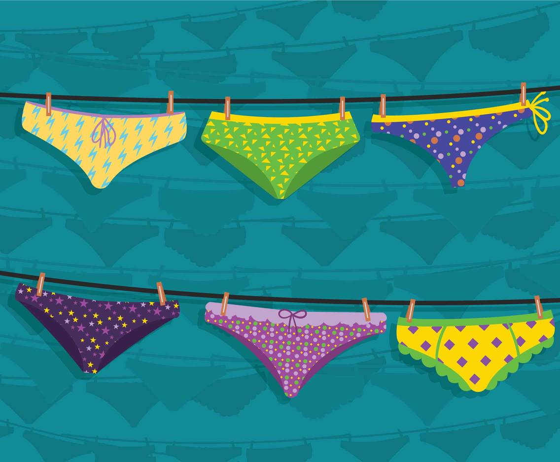 Panties vector set