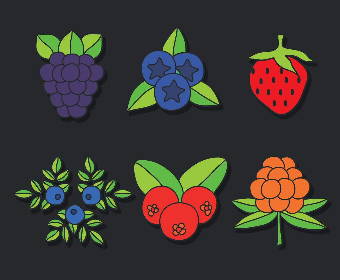 Barries And Leaves Collection Vector