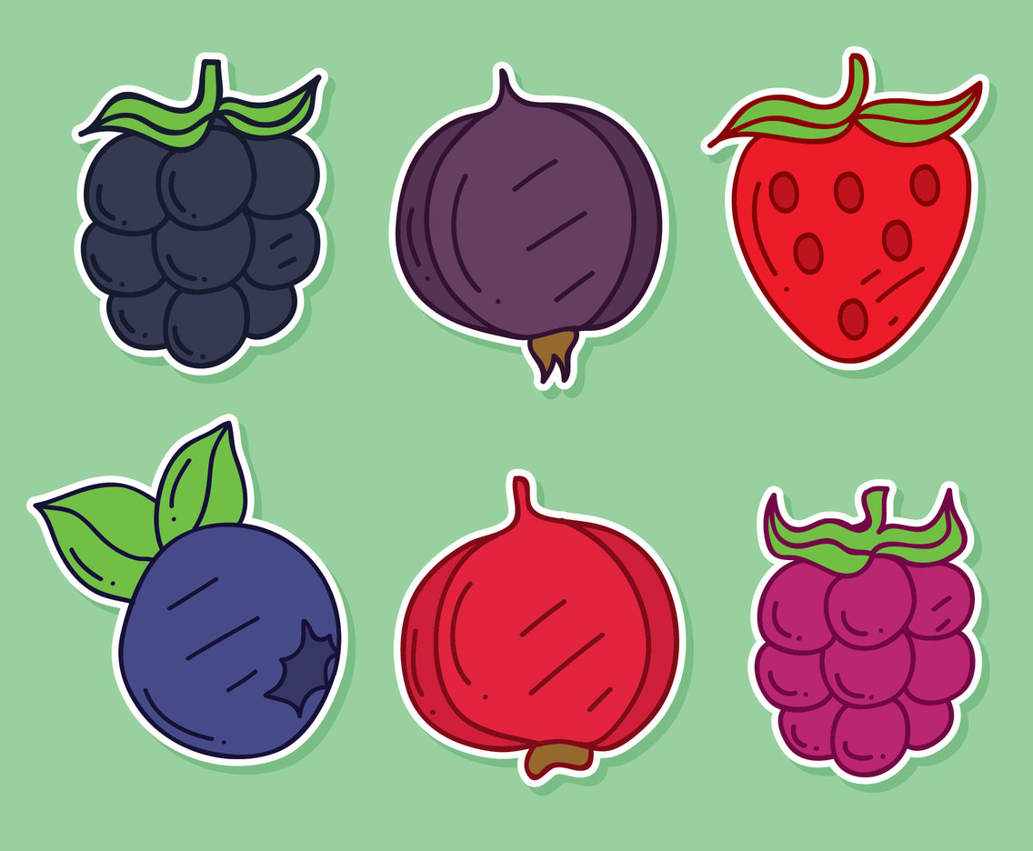 Nice Hand Drawn Berries Fruit Vector