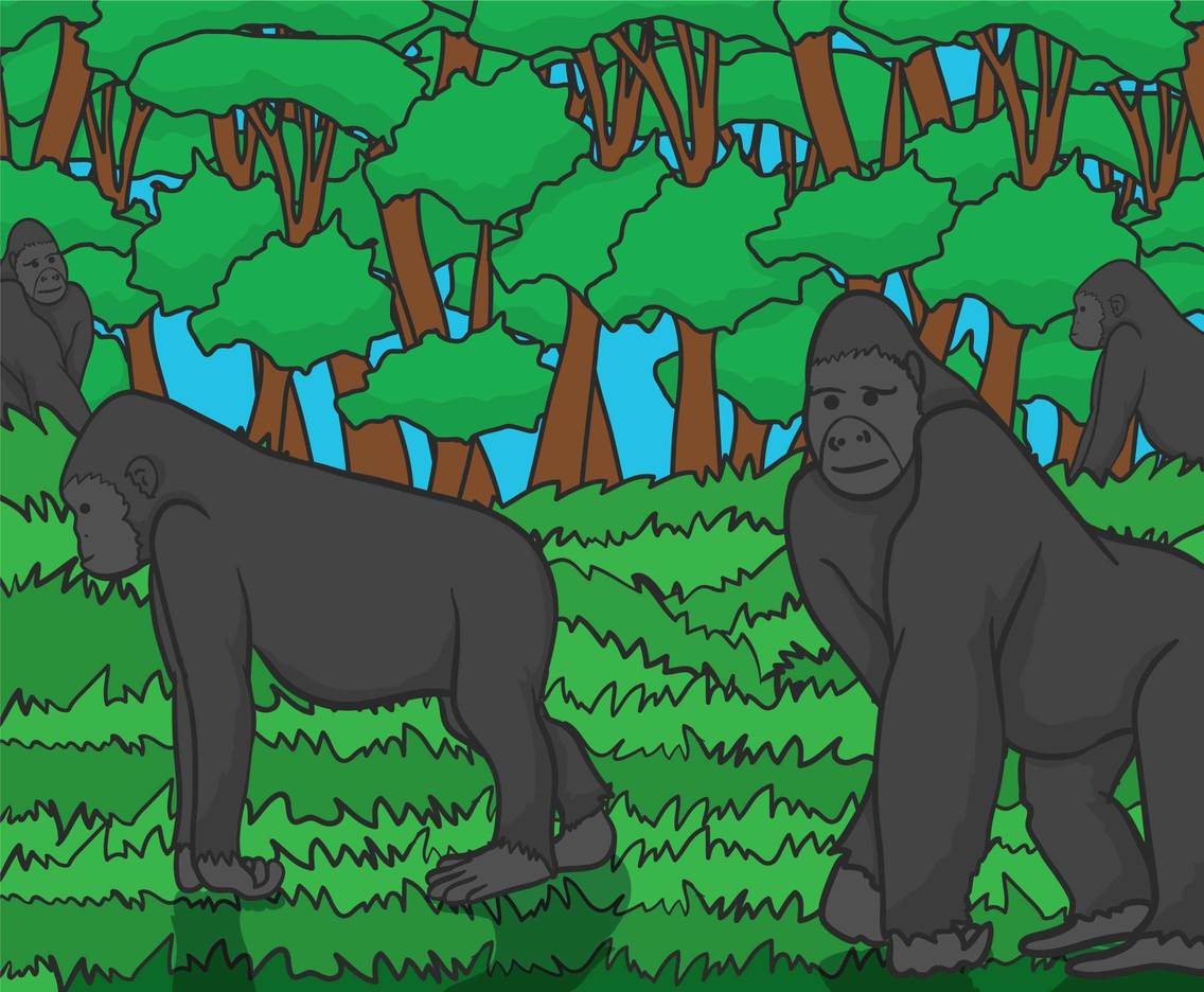 Ape vector illustration