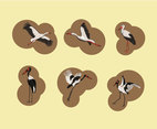 Storks Illustration Vector